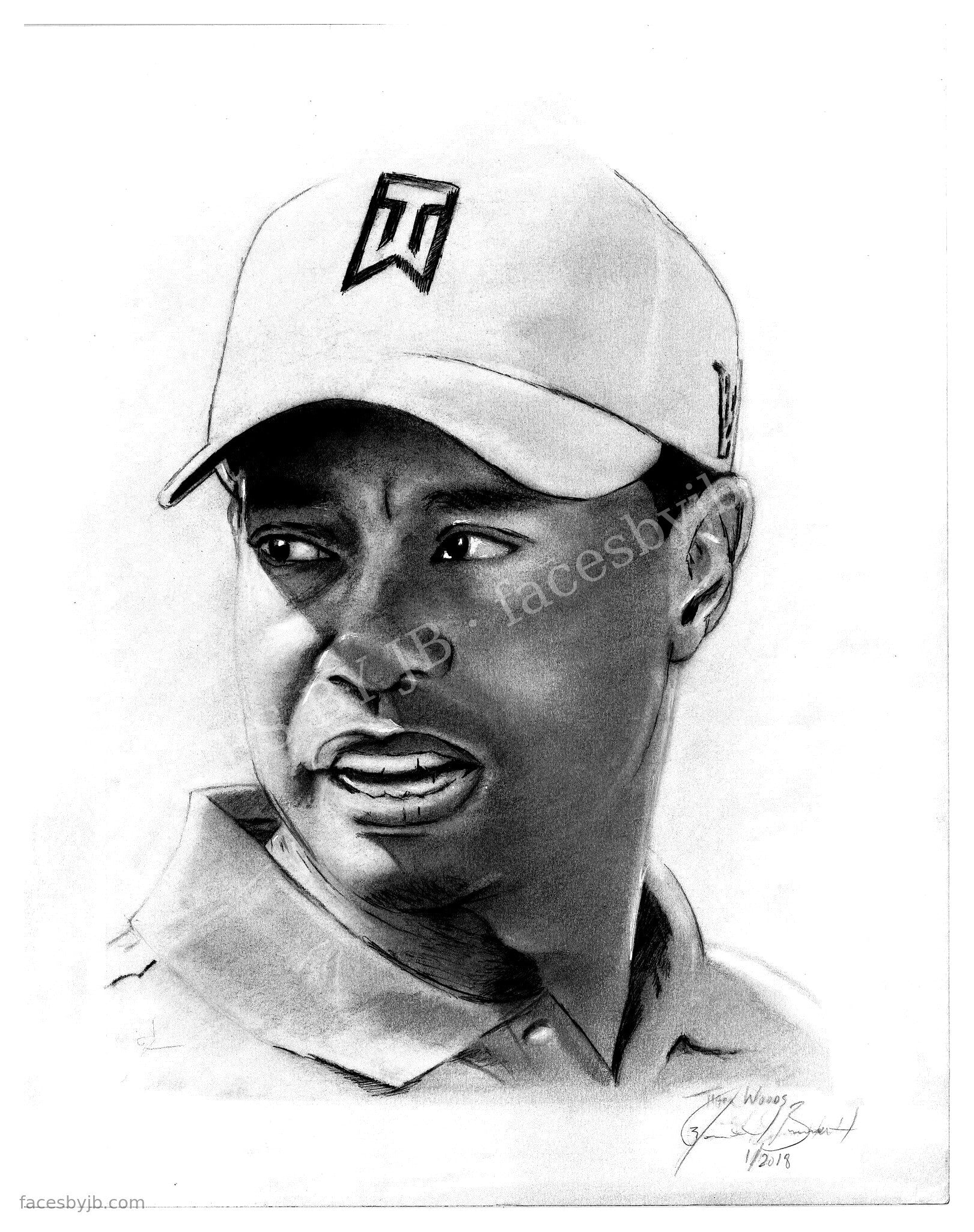 Tiger Woods — Digital Print